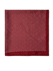 Paisley Silk-Like Scarf