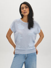 Crochet Cap Sleeve Sweater Top