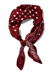Paisley Silk-Like Scarf
